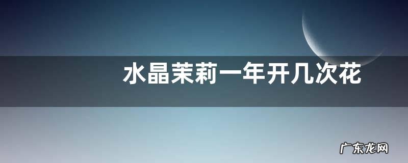 水晶茉莉一年开几次花