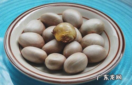 菠萝蜜的种子可以种吗 什么时候种