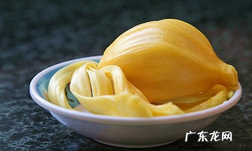 菠萝蜜的种子可以种吗 什么时候种