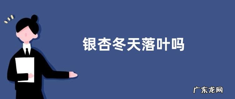 银杏冬天落叶吗