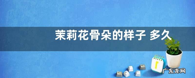 茉莉花骨朵的样子 多久开花