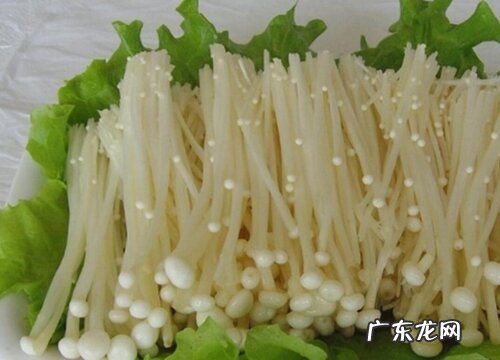 金针菇保存方法 保鲜存放方法