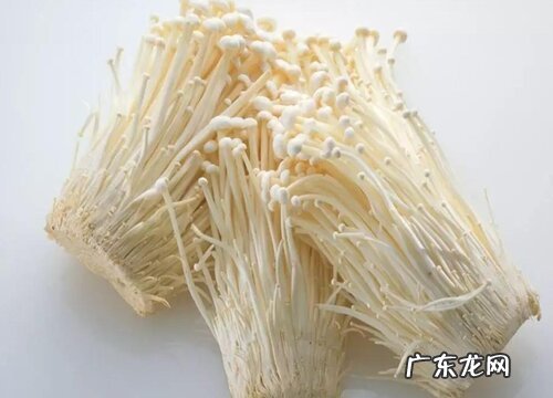 金针菇保存方法 保鲜存放方法