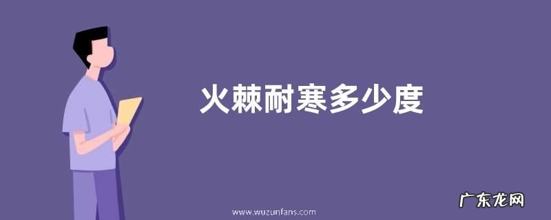 火棘耐寒多少度