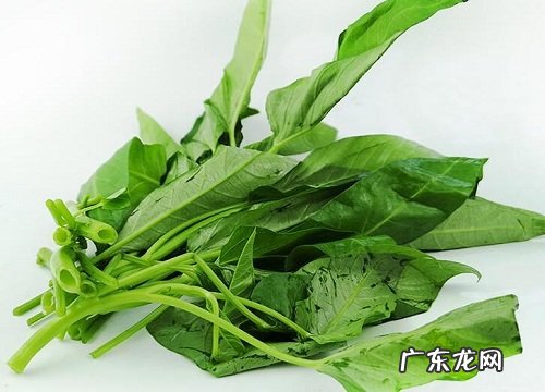 空心菜怎么过冬天 越冬种植技术