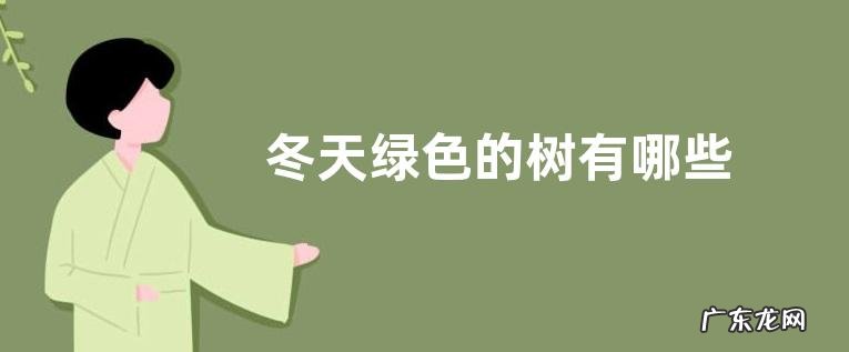冬天绿色的树有哪些