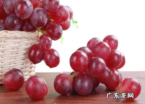 提子保存方法及温度 怎样储存时间长