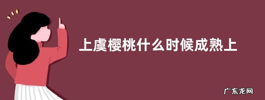 上虞樱桃什么时候成熟上市
