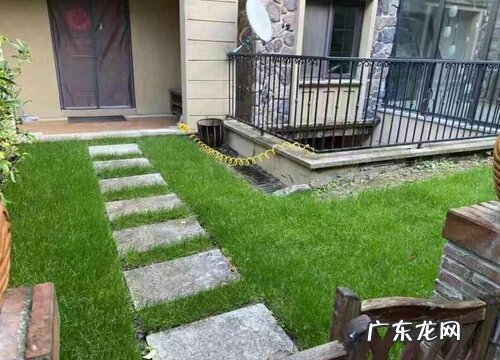 黑麦草冬天会冻死吗