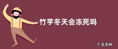 竹芋冬天会冻死吗