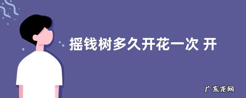 摇钱树多久开花一次 开花是什么样子