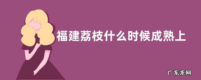 福建荔枝什么时候成熟上市