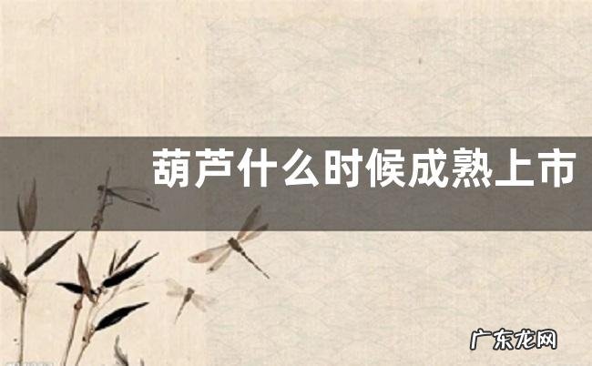 葫芦什么时候成熟上市