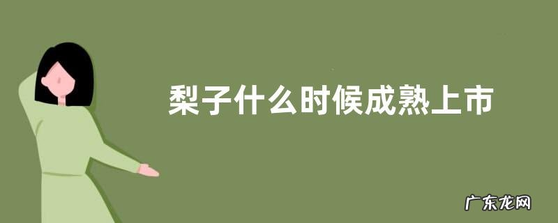 梨子什么时候成熟上市
