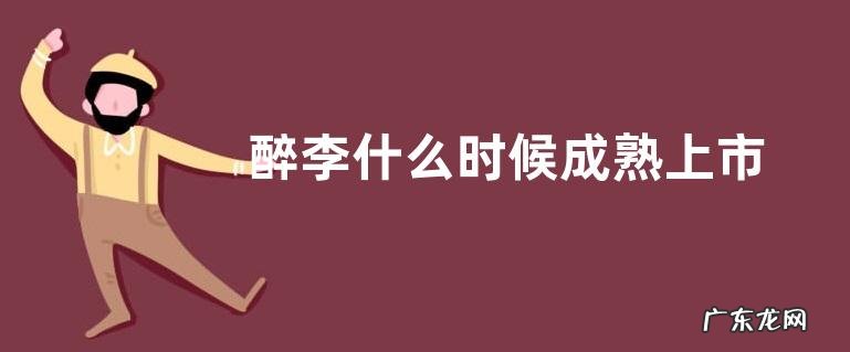 醉李什么时候成熟上市