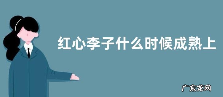 红心李子什么时候成熟上市