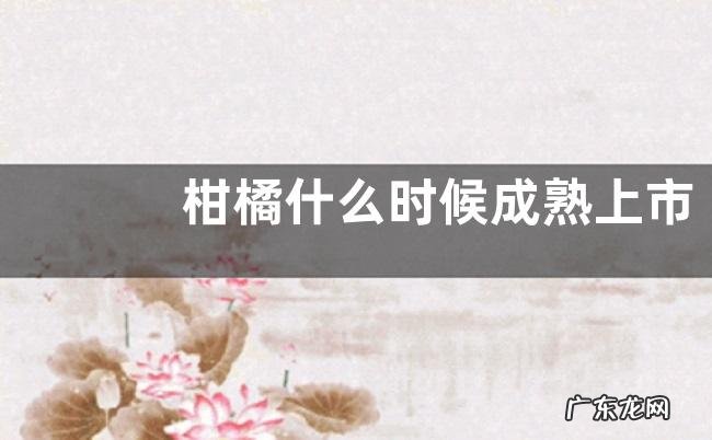 柑橘什么时候成熟上市