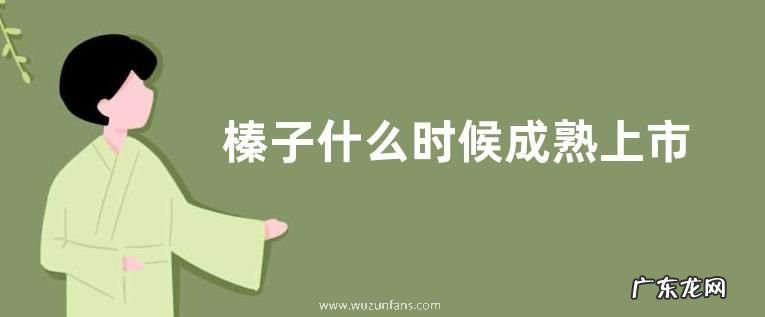 榛子什么时候成熟上市