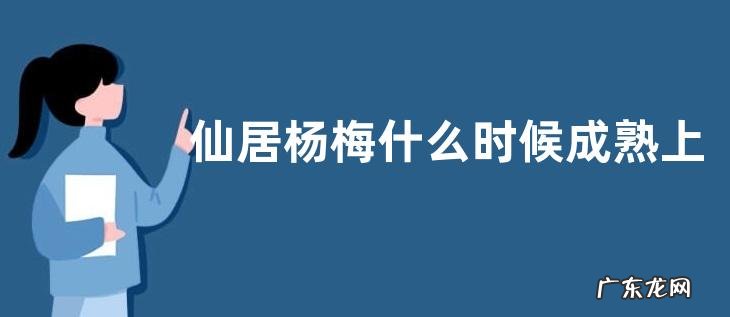 仙居杨梅什么时候成熟上市