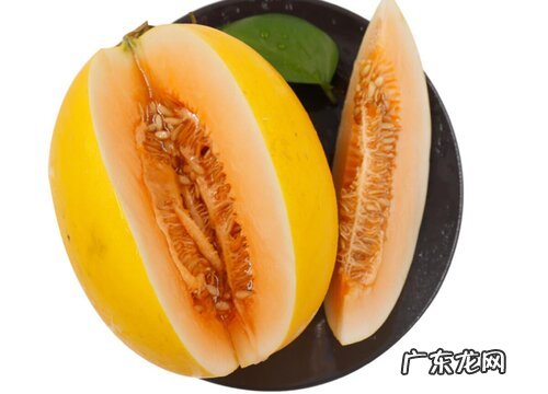 东方蜜瓜怎么挑选好吃的