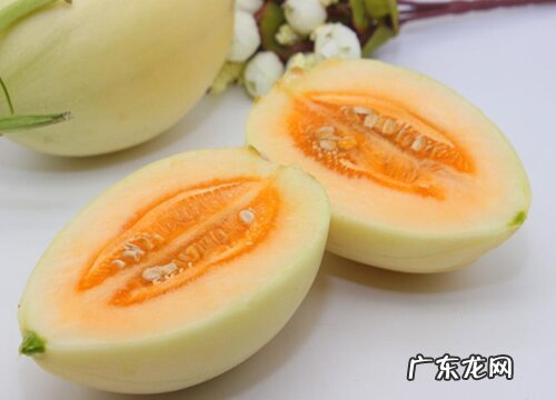 东方蜜瓜怎么挑选好吃的