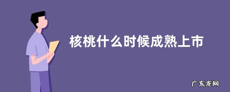 核桃什么时候成熟上市