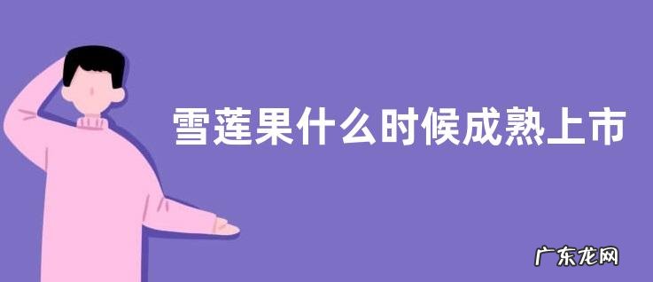 雪莲果什么时候成熟上市