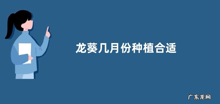 龙葵几月份种植合适