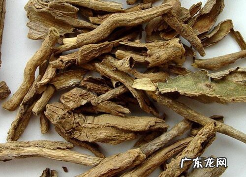 地骨皮是什么植物