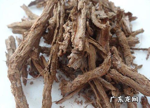 地骨皮是什么植物