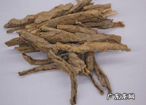 地骨皮是什么植物