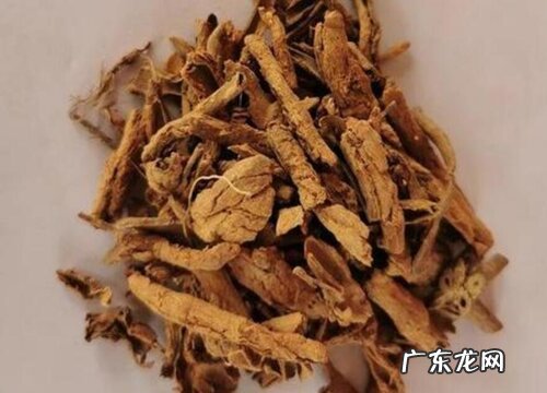 地骨皮是什么植物