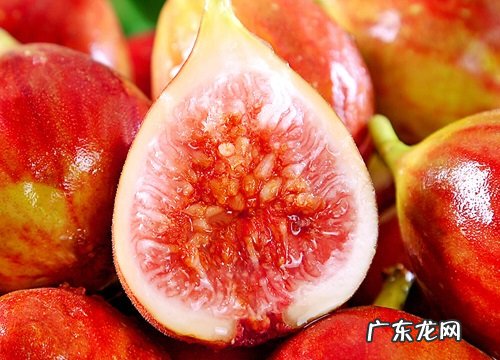 无花果有种子吗