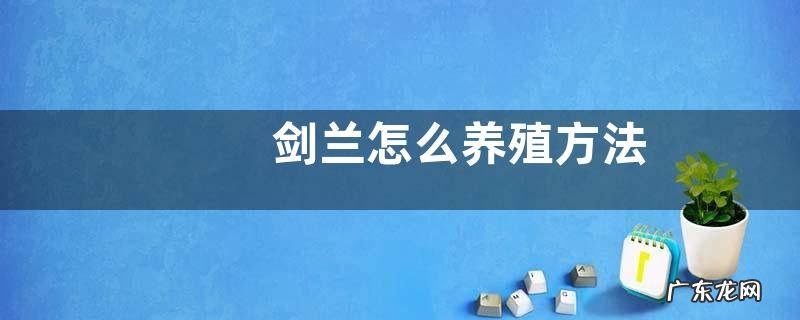 剑兰怎么养殖方法