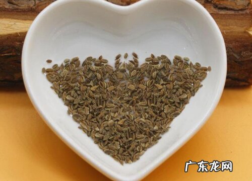 胡萝卜有种子吗 种子怎么种植