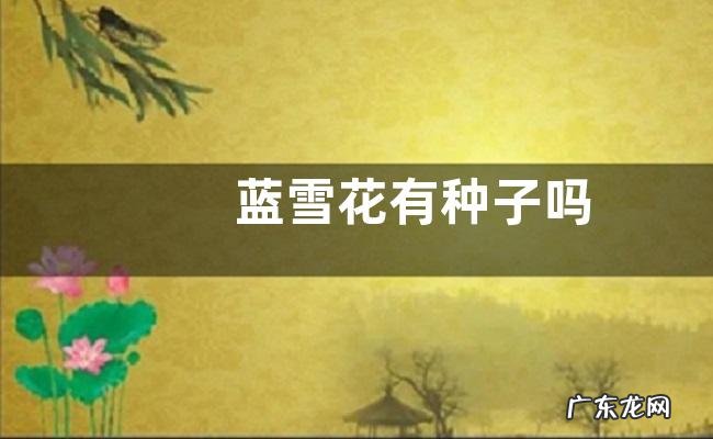 蓝雪花有种子吗