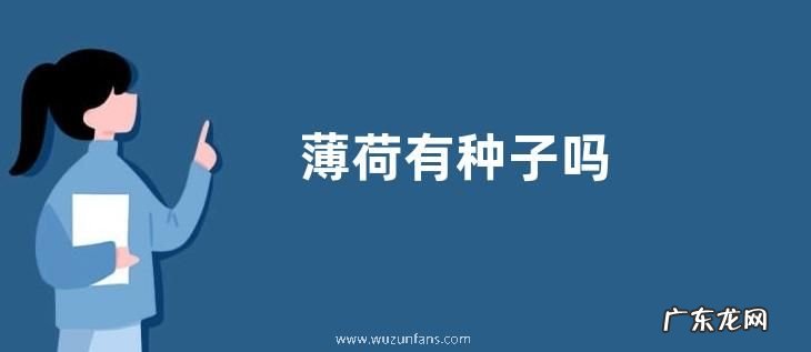 薄荷有种子吗