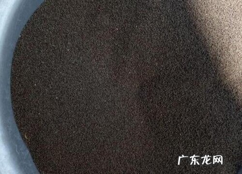 西兰花有种子吗