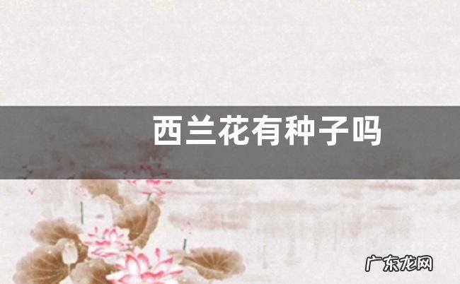 西兰花有种子吗