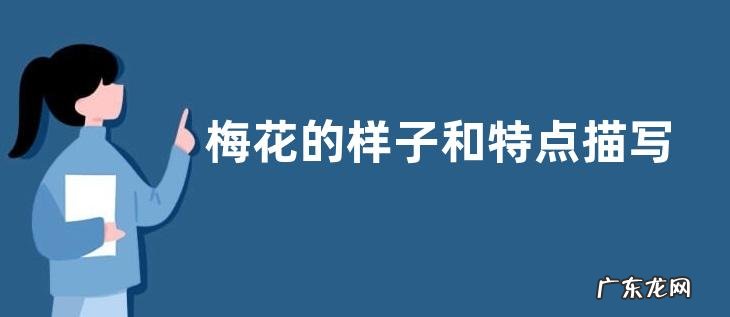 梅花的样子和特点描写