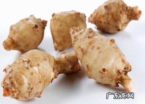 洋姜怎么留种子