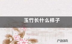 玉竹长什么样子