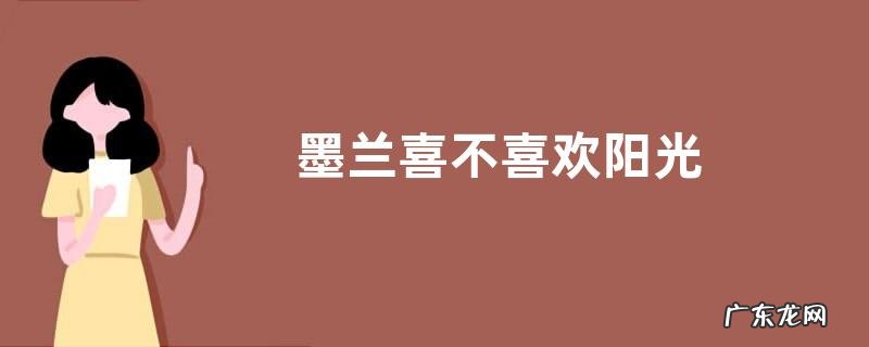 墨兰喜不喜欢阳光