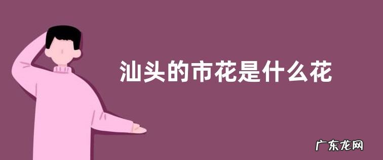 汕头的市花是什么花