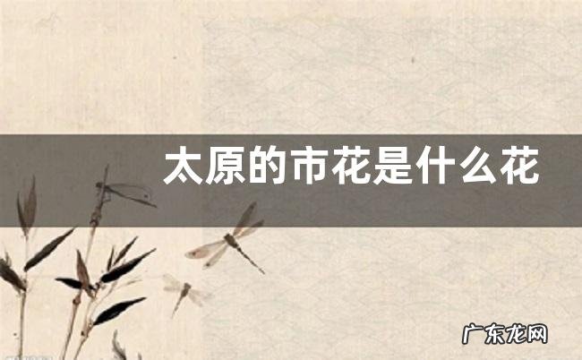 太原的市花是什么花
