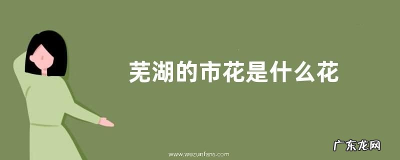 芜湖的市花是什么花
