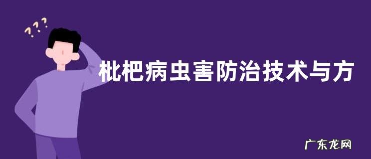 枇杷病虫害防治技术与方法措施