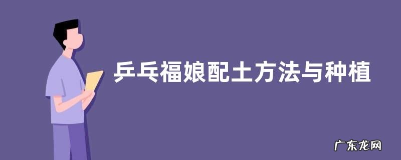乒乓福娘配土方法与种植土壤