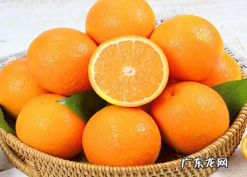 橙是凉性还是热性食物