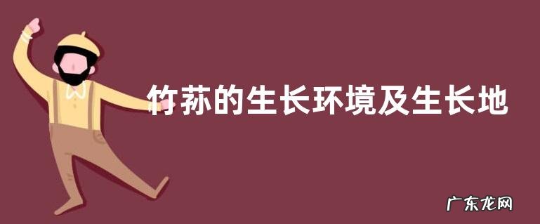 竹荪的生长环境及生长地方条件